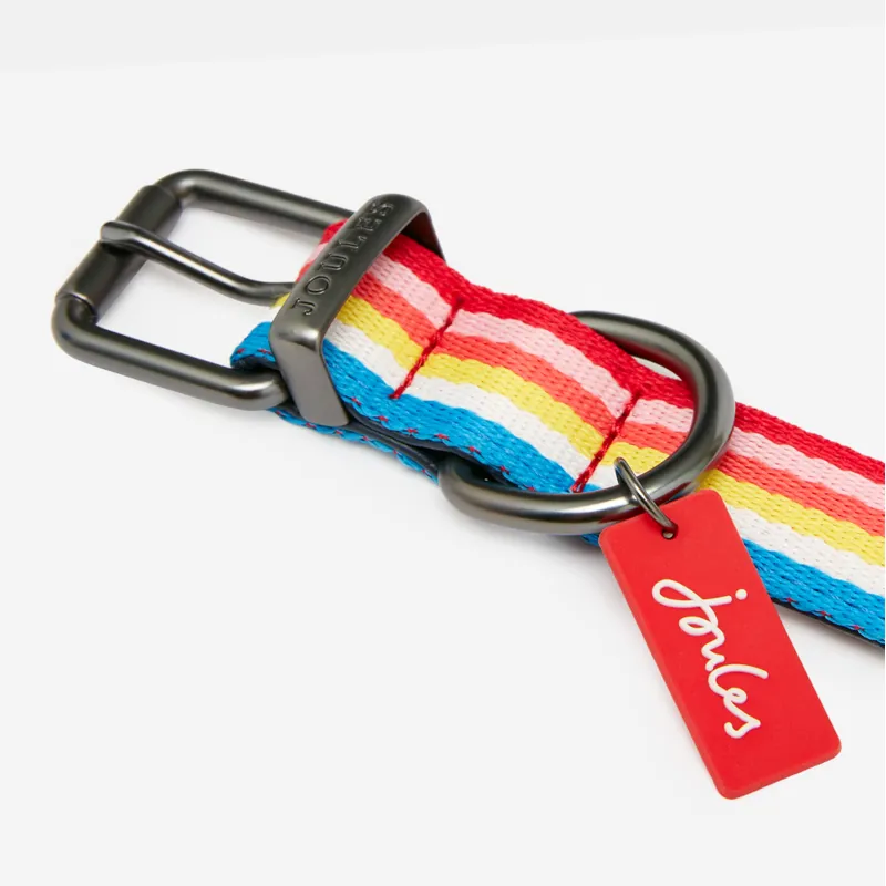 Joules Rainbow Dog Collar-2
